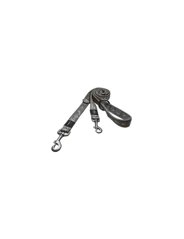 Alpinist Laisse