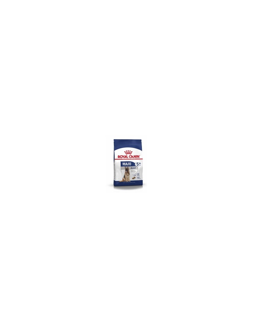 Royal Canin Maxi adulte 5+
