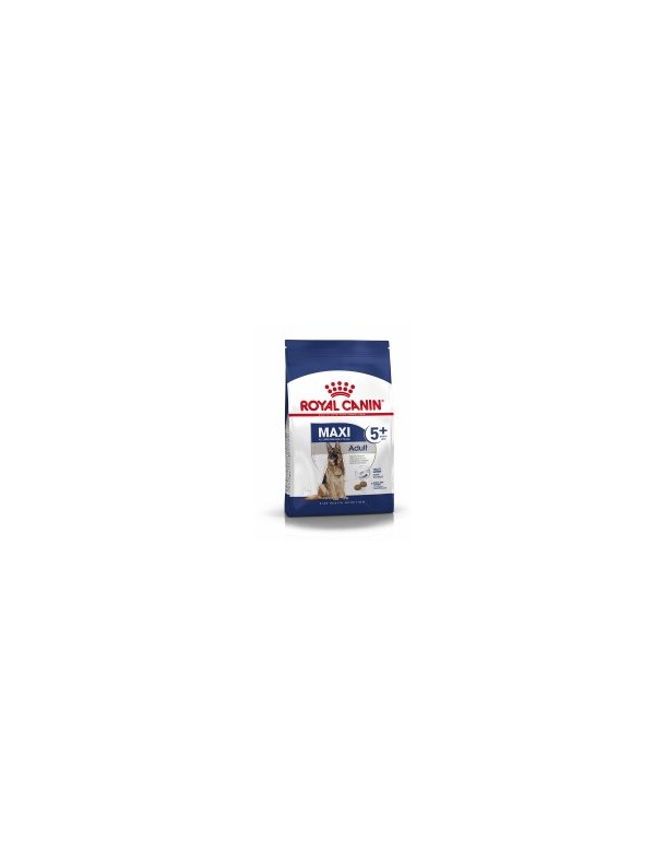 Royal Canin Maxi adulte 5+