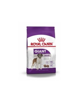 Royal Canin Giant adulte 15 kg