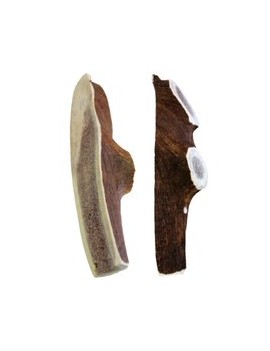 Kyli Bois de cerf