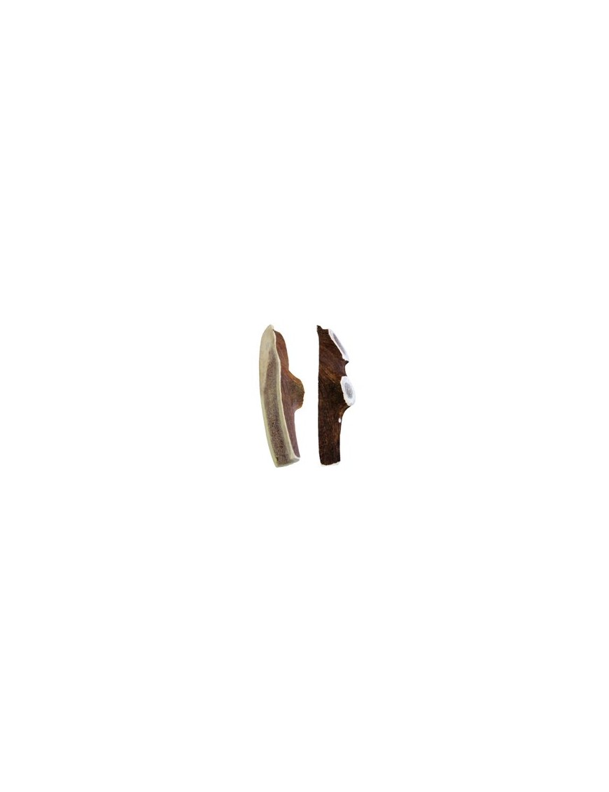 Kyli Bois de cerf