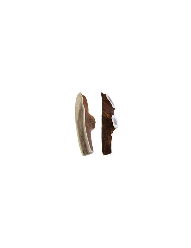 Kyli Bois de cerf