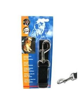 Adaptateur pour voiture