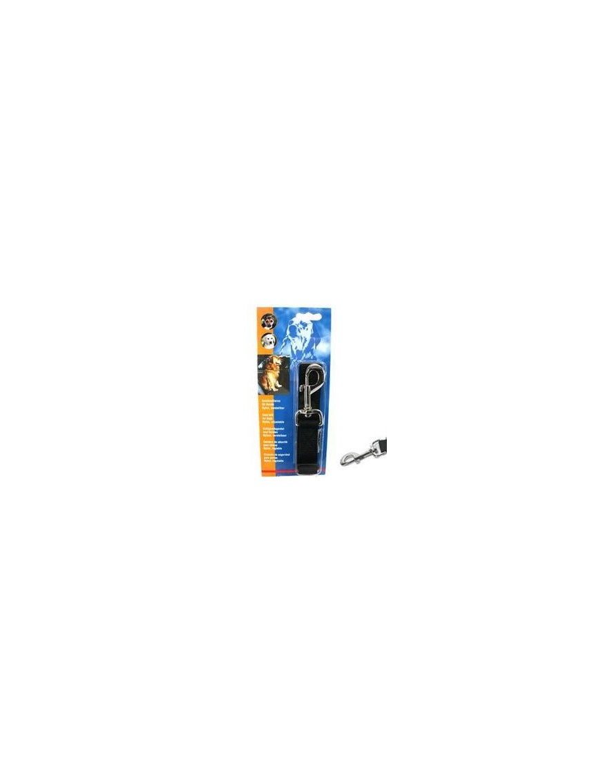 Adaptateur pour voiture