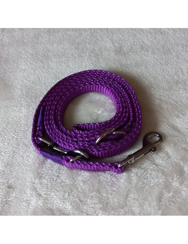 Laisse Violet 3 positions