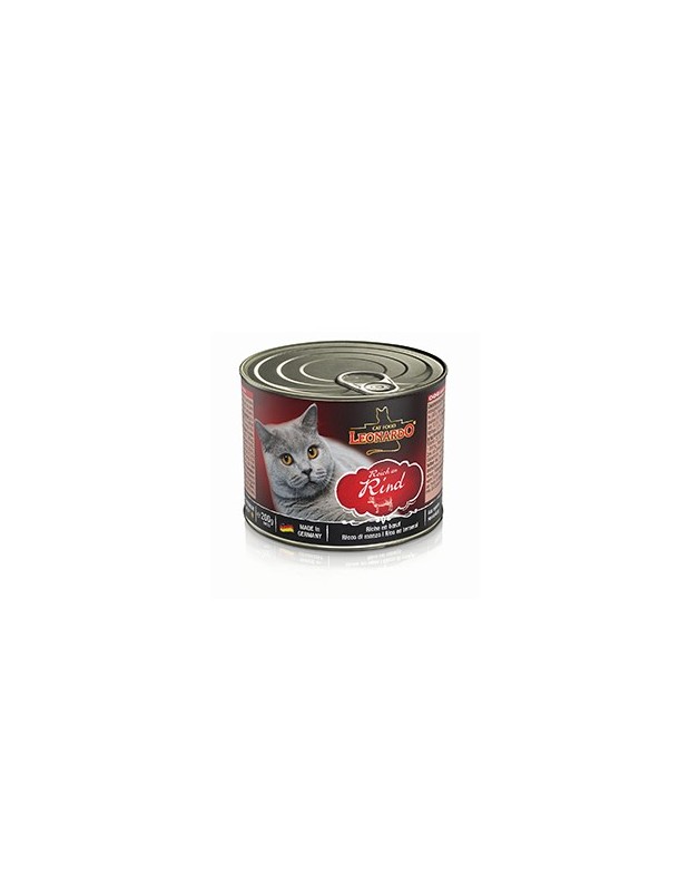 Leonardo Boîtes au Boeuf