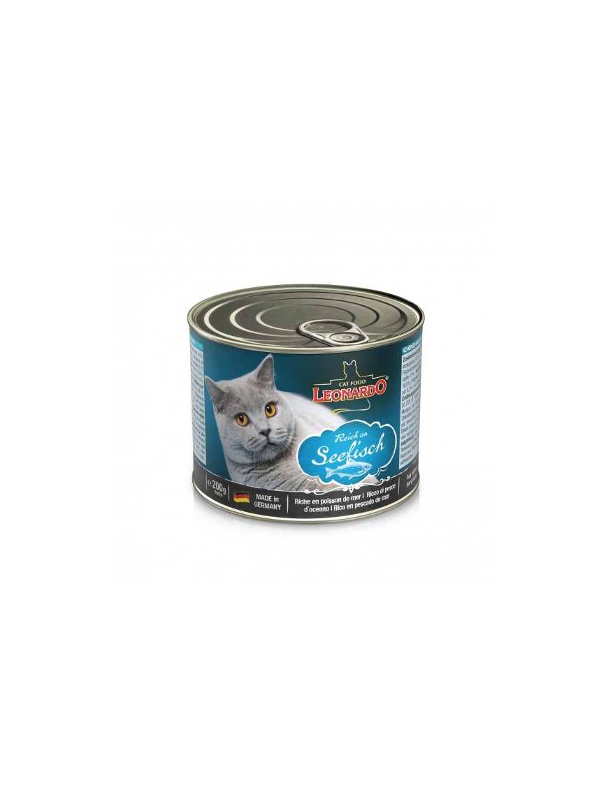 Leonardo Boîtes Poisson de mer