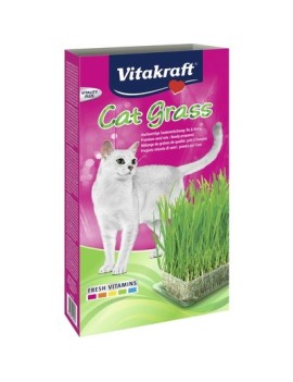 Herbe à chat 120 g