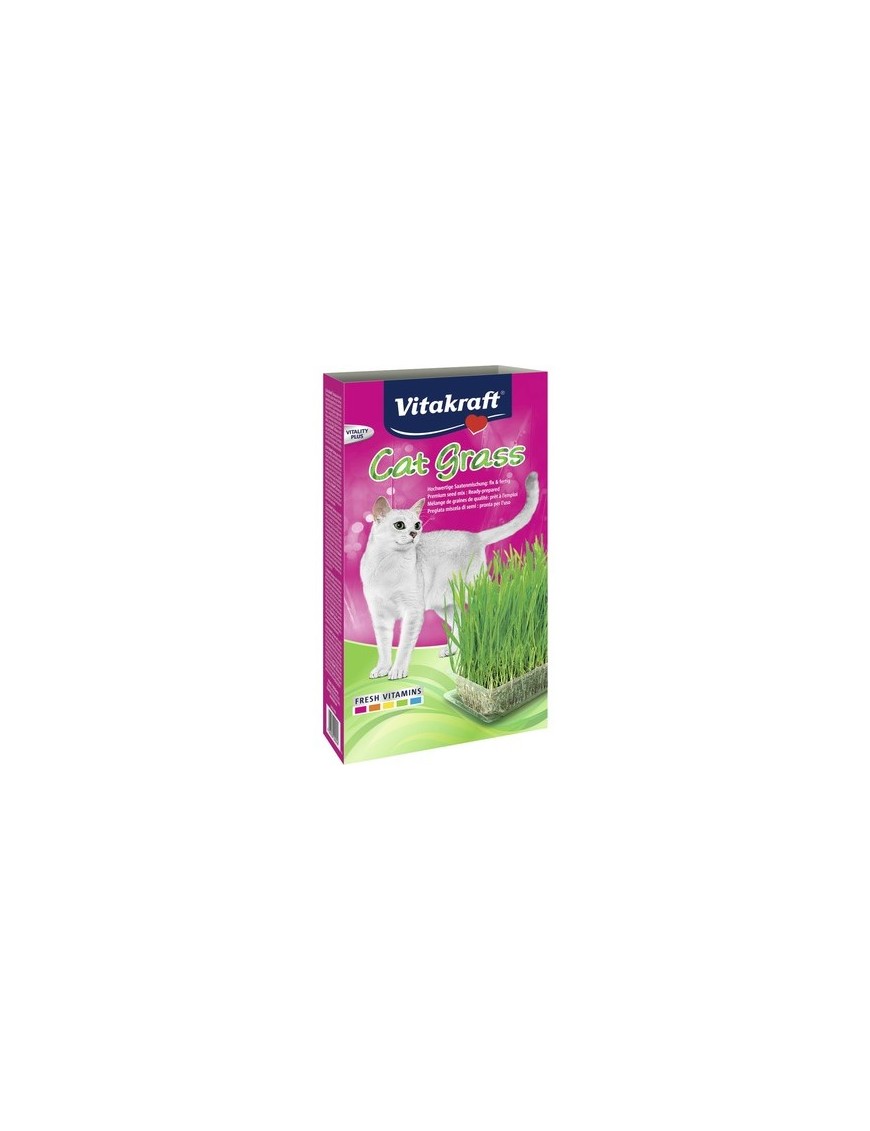 Herbe à chat 120 g