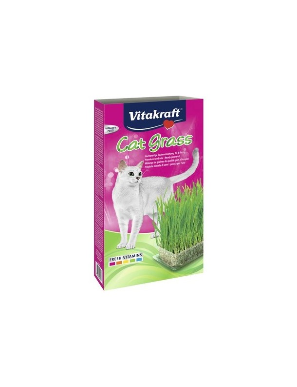 Herbe à chat 120 g