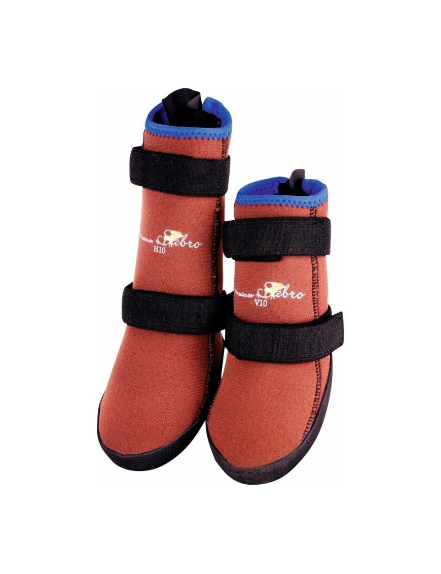 SKO protection de patte avec pansement, patte arrière