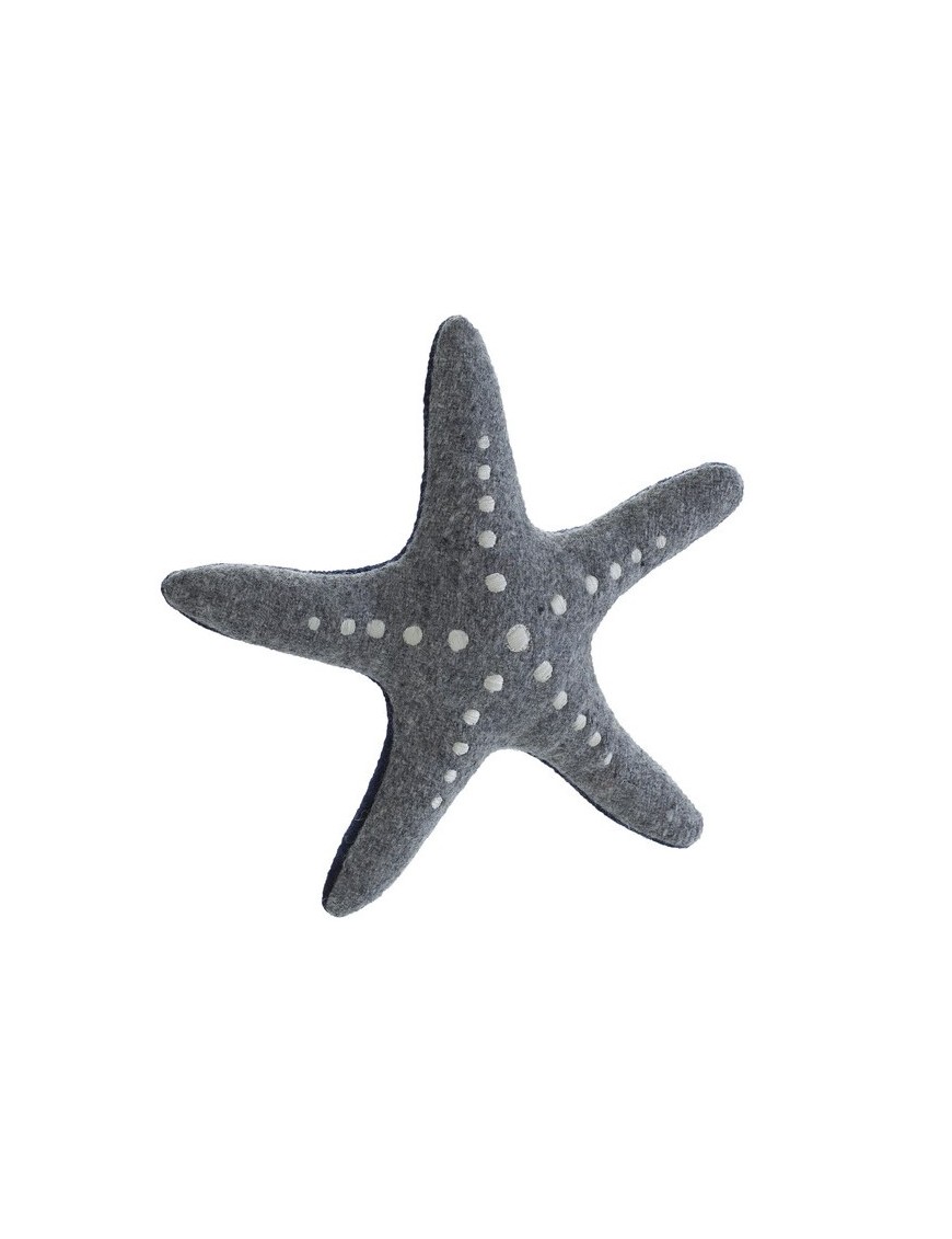 Etoile de mer