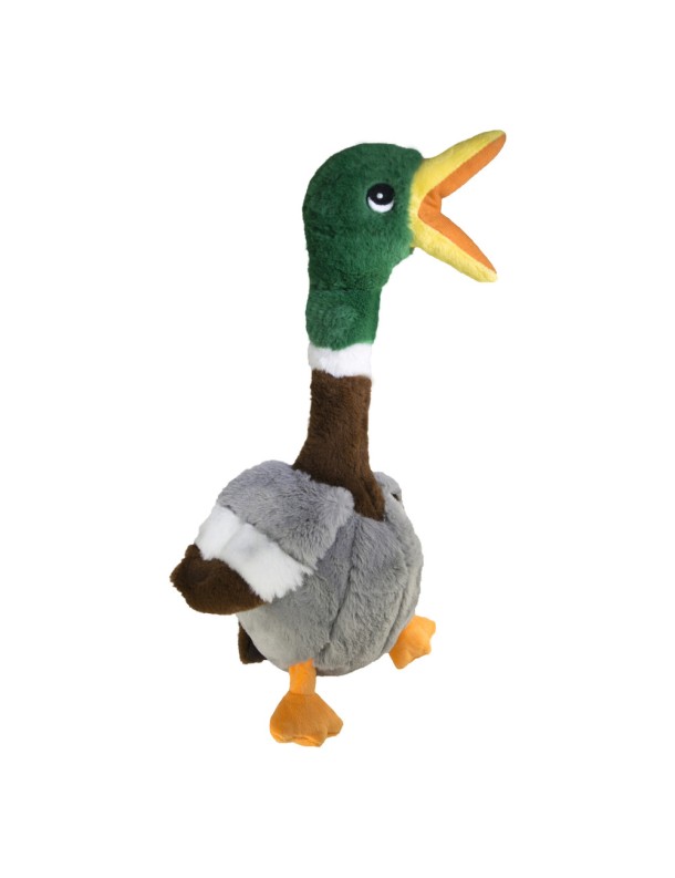 KONG Canard