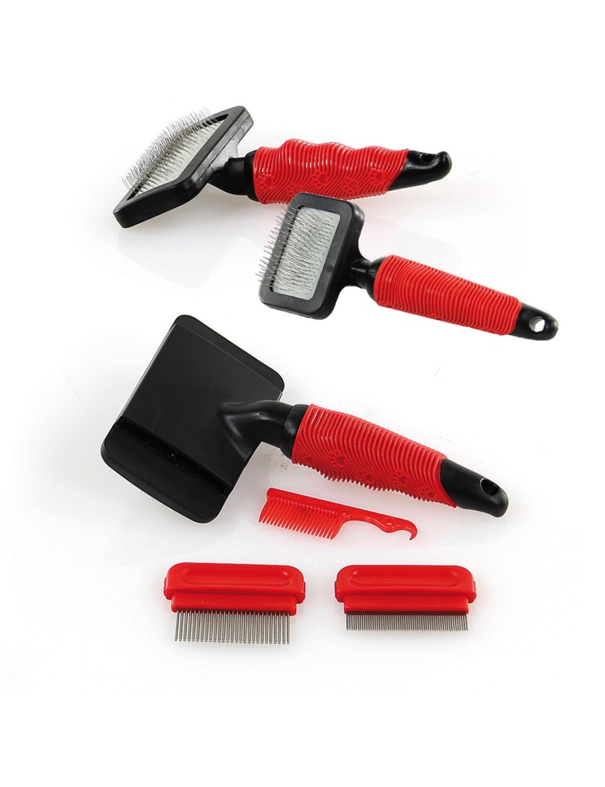 Brosse carde