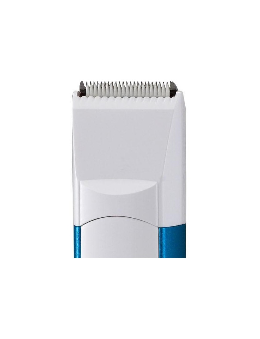 Mini tondeuse