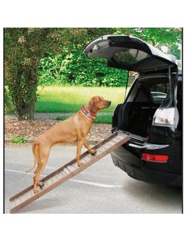 Rampe auto en bois largeur 40 cm