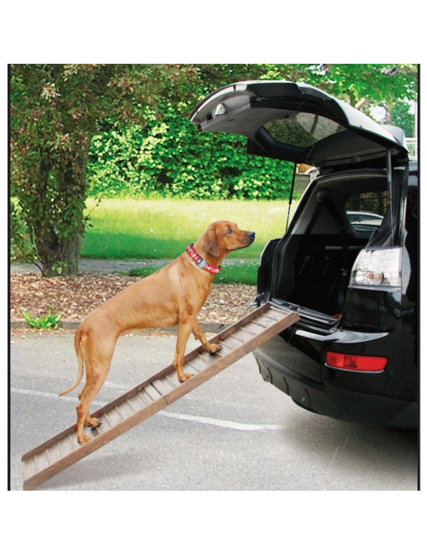Rampe auto en bois largeur 40 cm