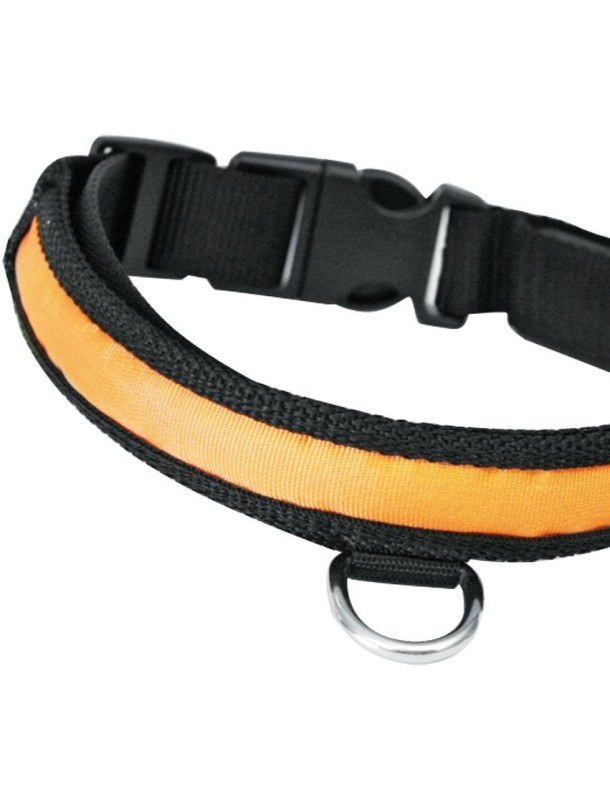 Collier lumineux en nylon