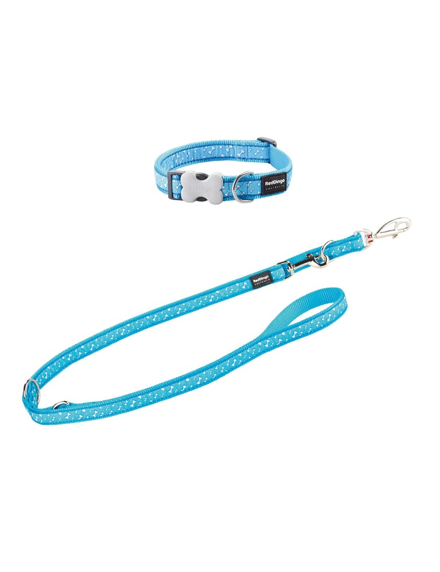Red Dingo Laisse 3 positions Bones, turquoise