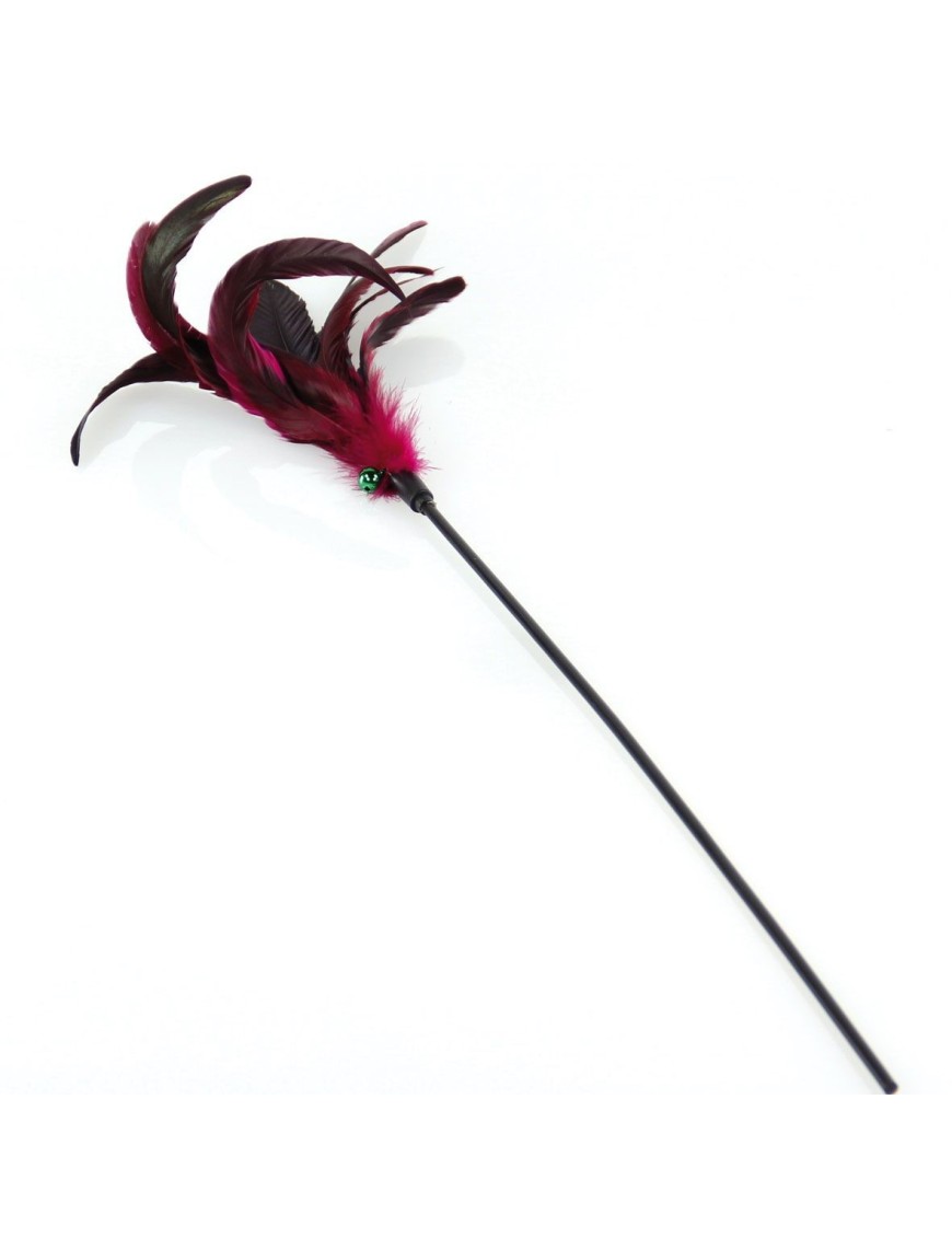 Canne à pêche