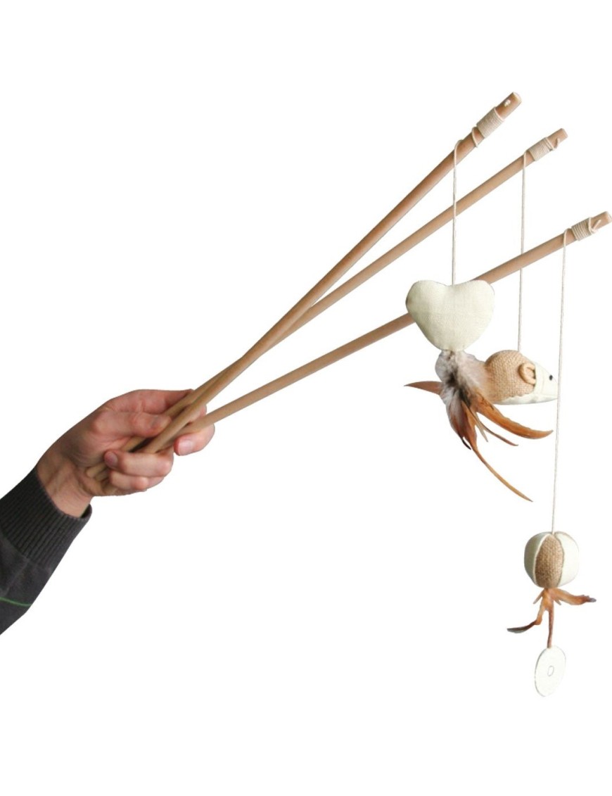 Canne à pêche