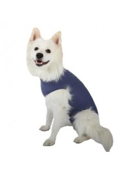Body pour chiens ou chats, pour mâles