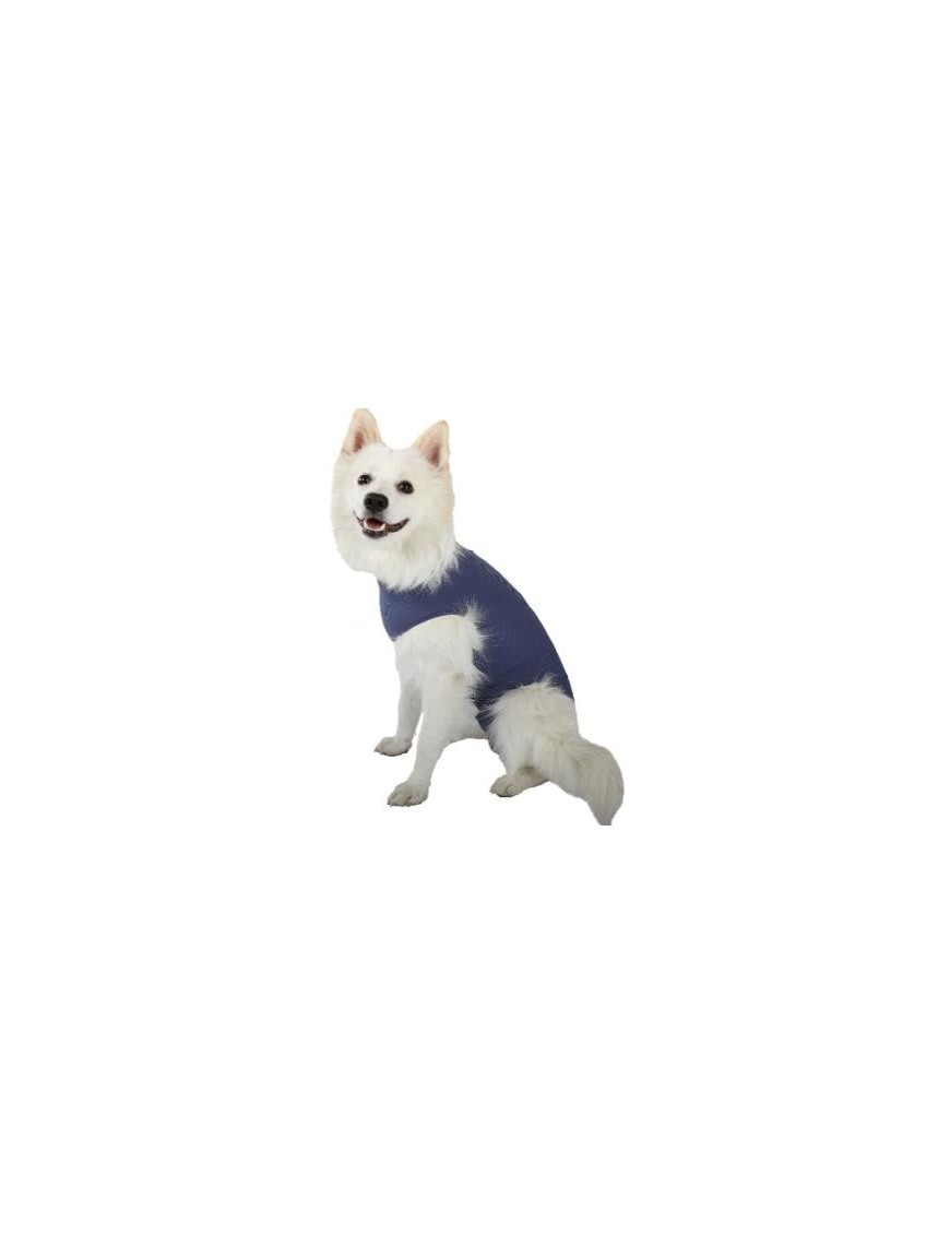 Body pour chiens ou chats, pour mâles