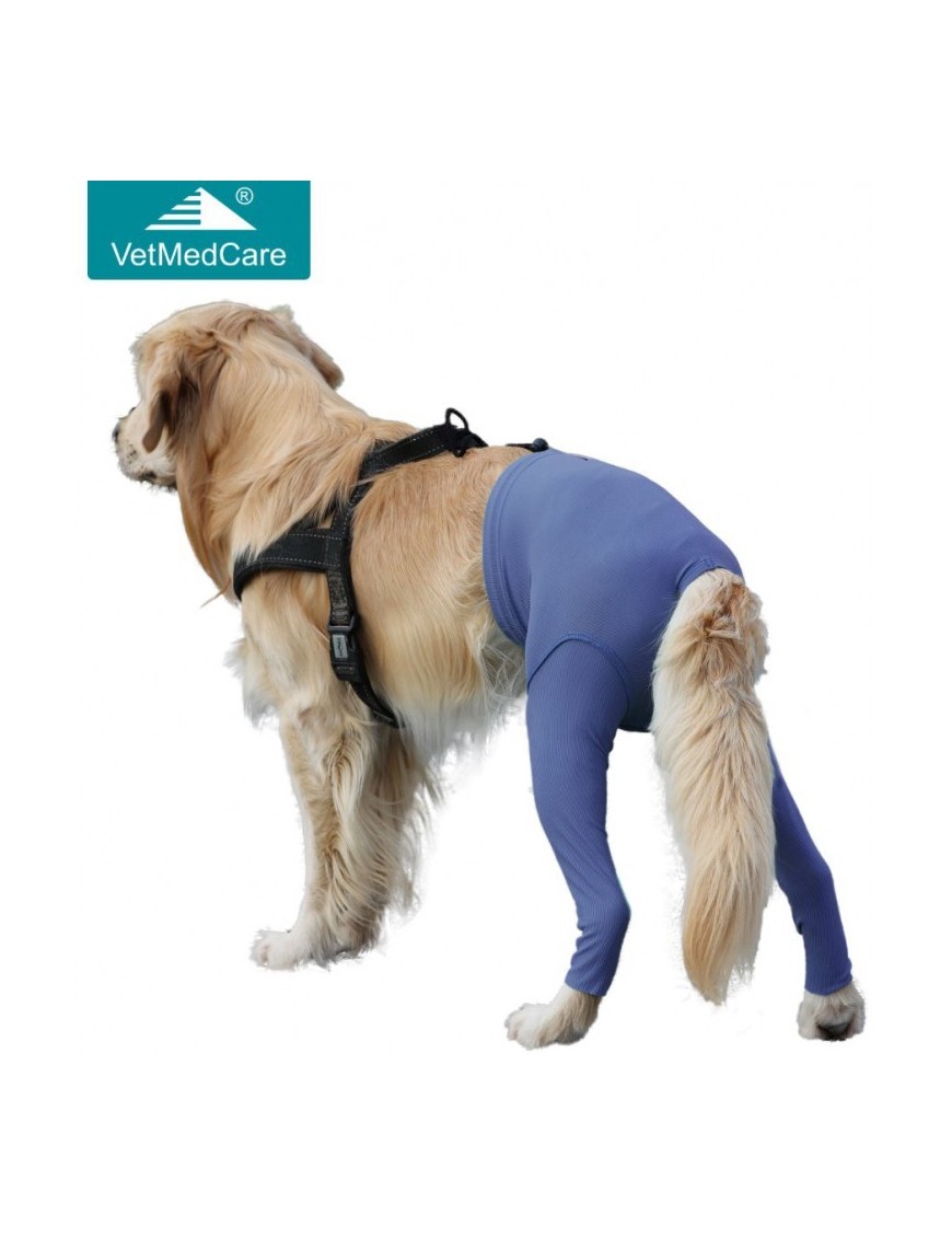 Safety Pants