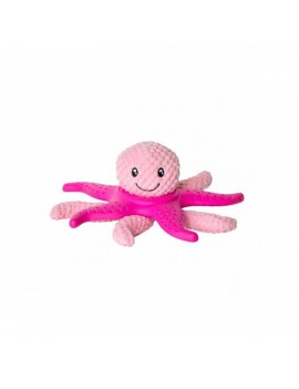 Kiwi Octopus