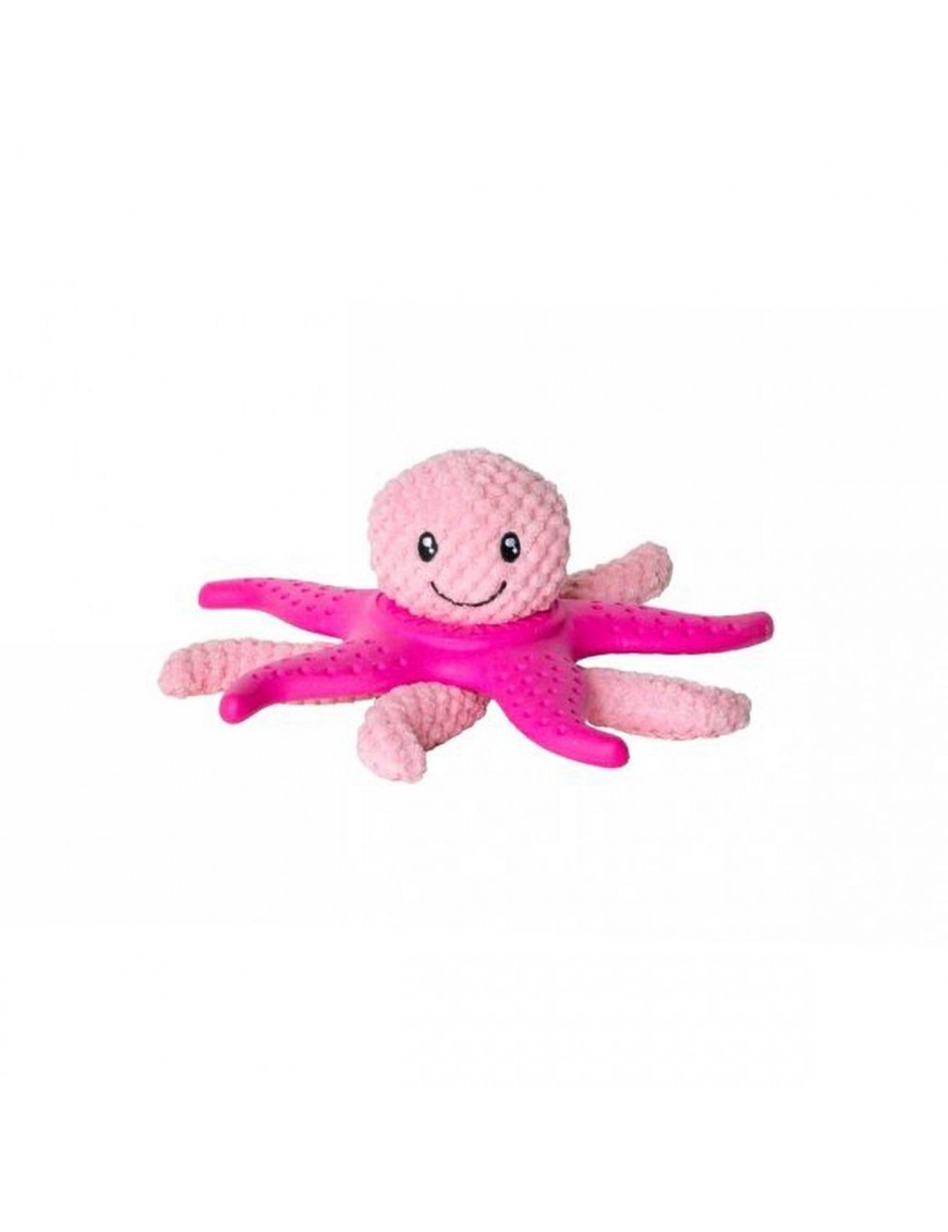 Kiwi Octopus