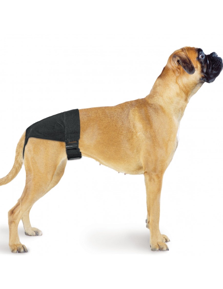 Culotte de protection hygiéniques pour chiennes
