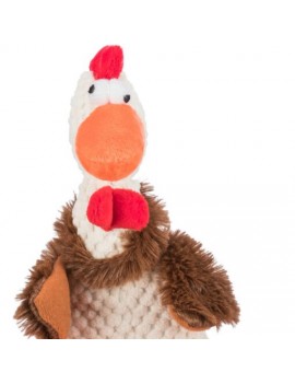 Coq