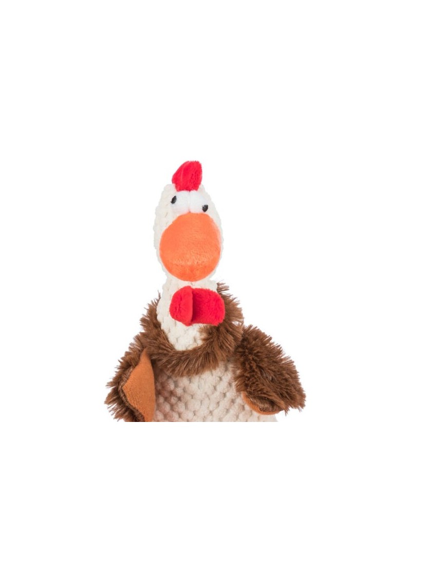 Coq