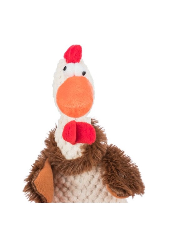 Coq