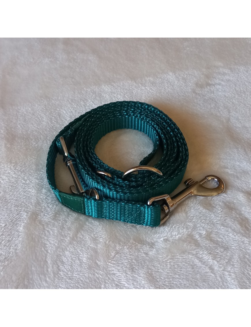 Laisse Vert turquoise 3 positions