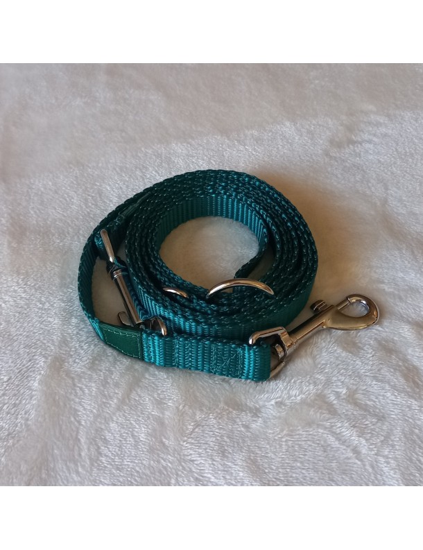 Laisse Vert turquoise 3 positions