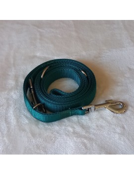 Laisse Vert turquoise 3 positions