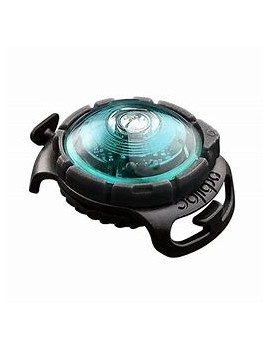 Safety Light Orbiloc Turquoise