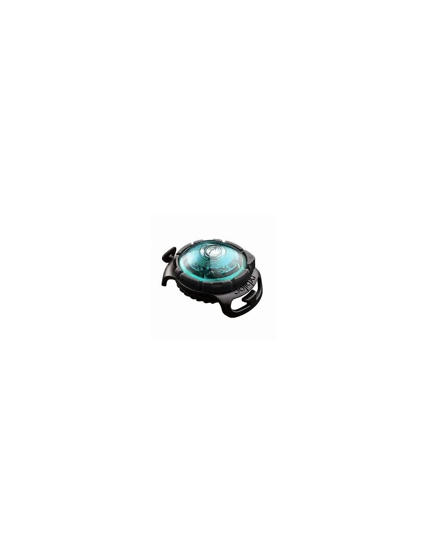 Safety Light Orbiloc Turquoise