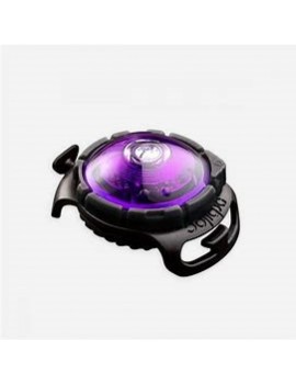 Safety Light Orbiloc Violet