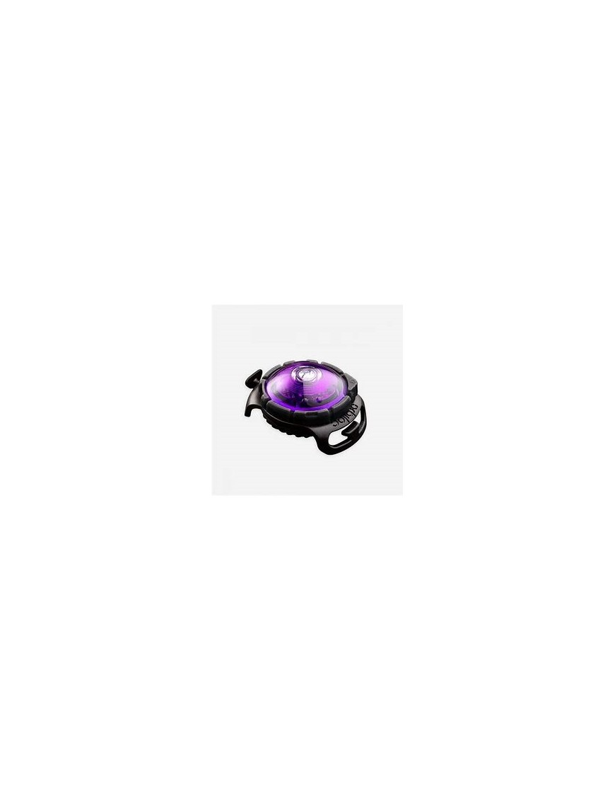 Safety Light Orbiloc Violet