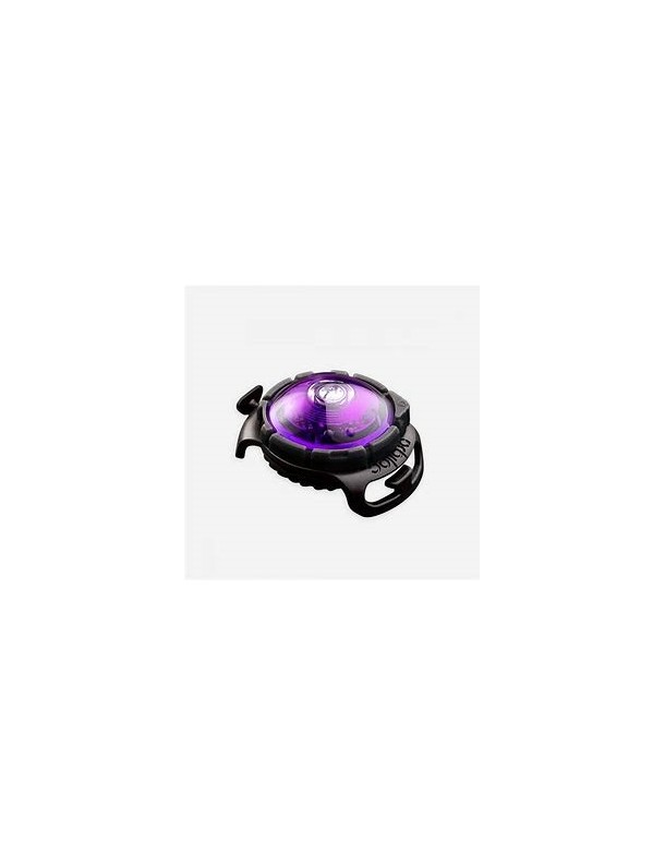 Safety Light Orbiloc Violet