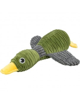 Canard