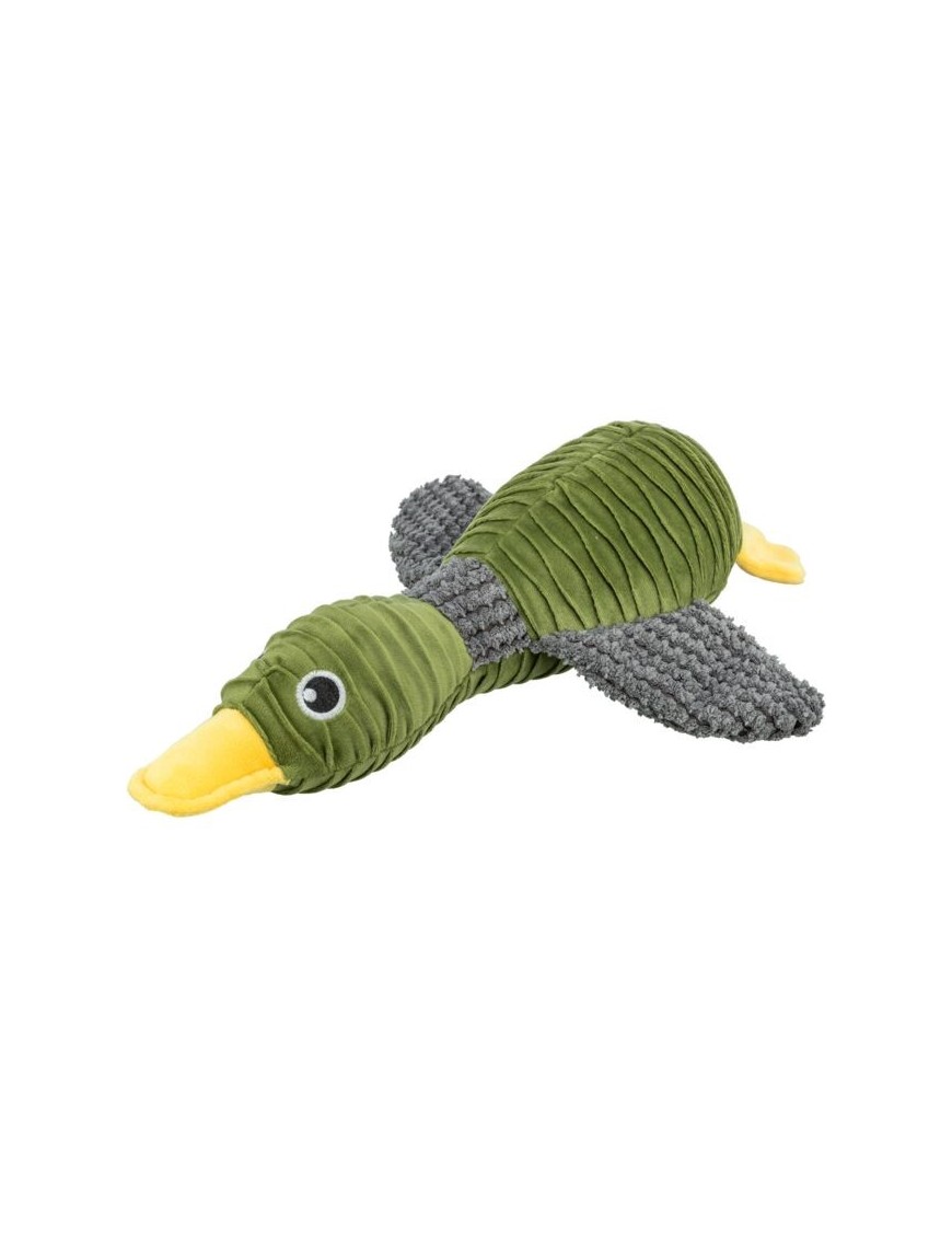 Canard