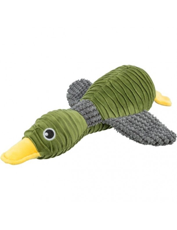 Canard