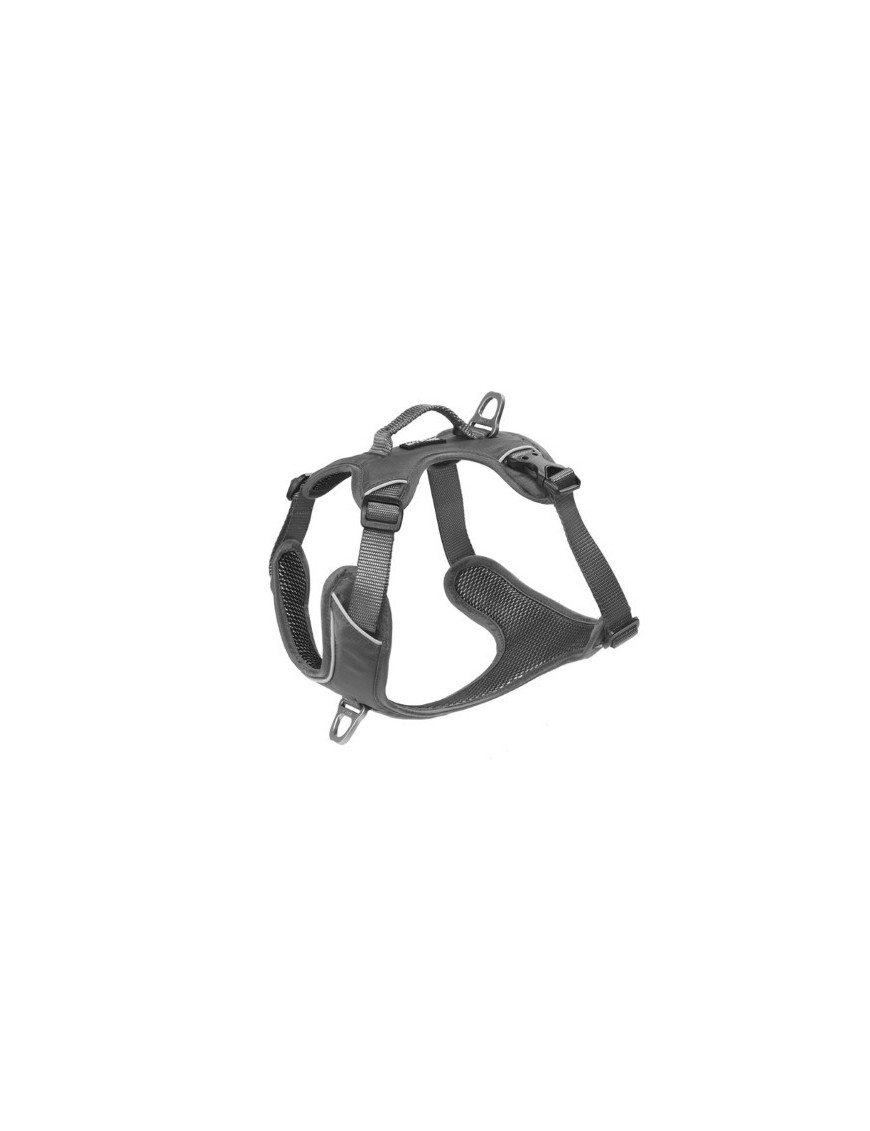 Kyflie Momentum Harnais gris M