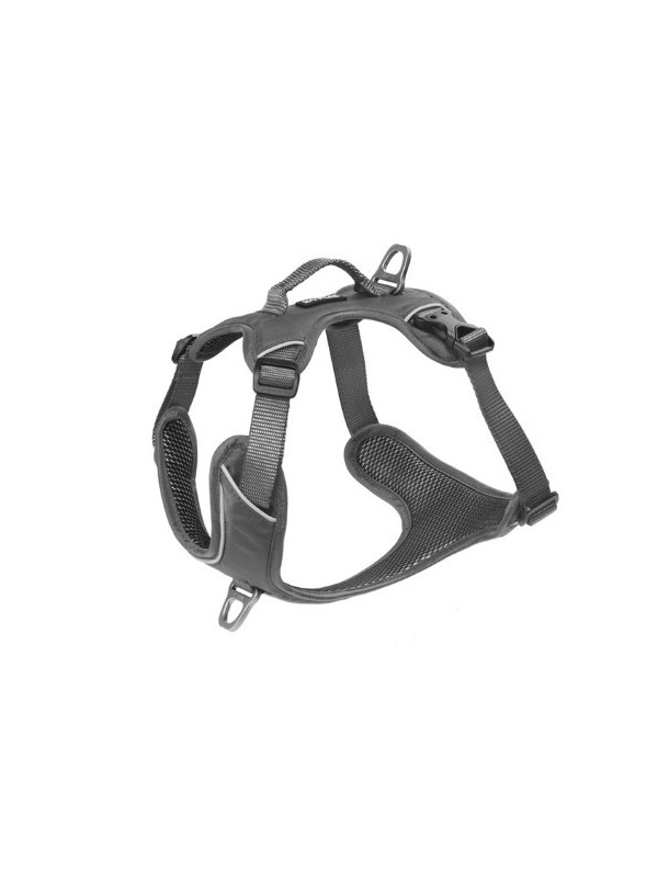 Kyflie Momentum Harnais gris M
