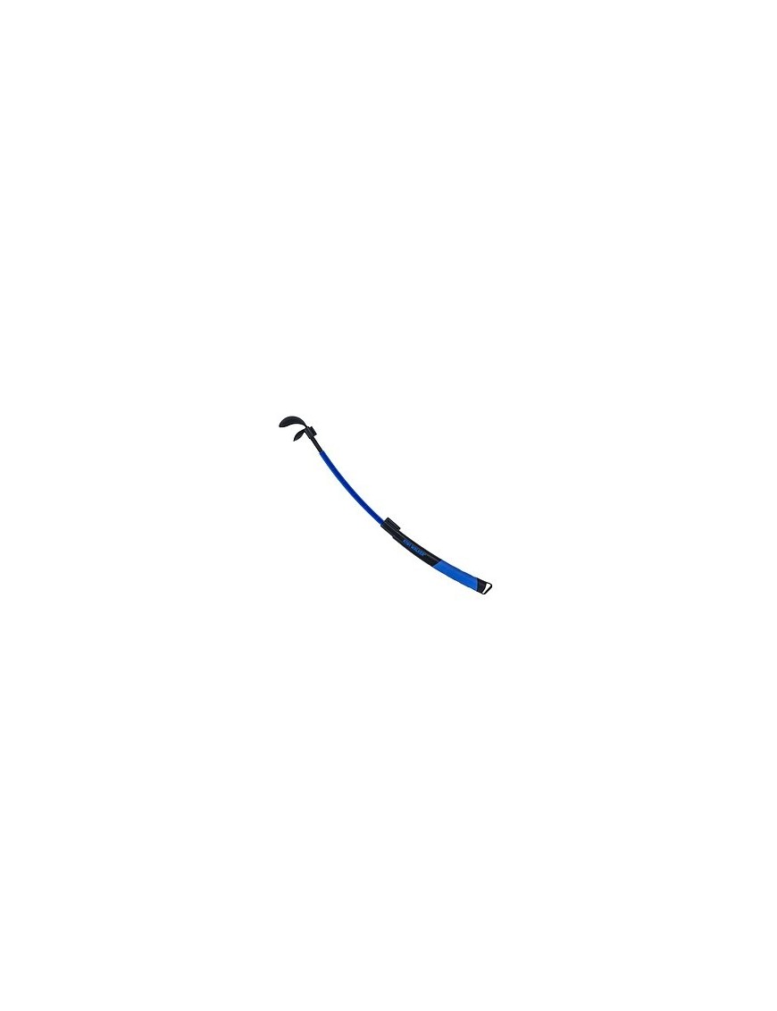 Kiwi Walker Lanceur de balle bleu
