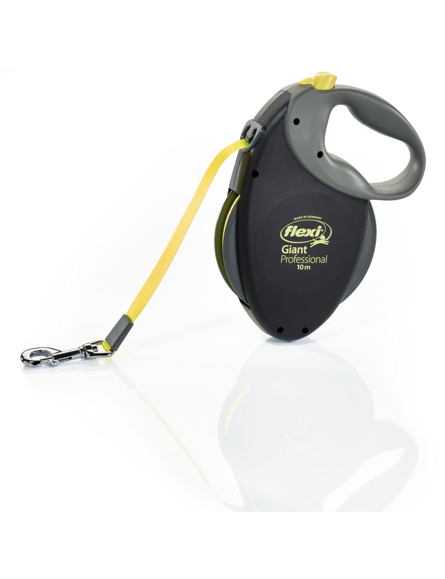 Flexi Giant L Noire 10 m